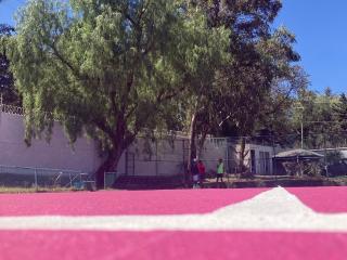 Renta de Cancha de Tenis - Tennis Life Tepepan