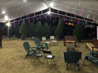 Renta de Arbol de Navidad CDMX en Maceta 2, 2.5 y 3 metros - Navidad Sustentable con AAAMAC 2025