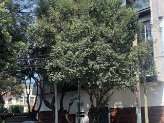 PH en Renta Del Valle Centro - Roof Garden Privado y Exclusivo