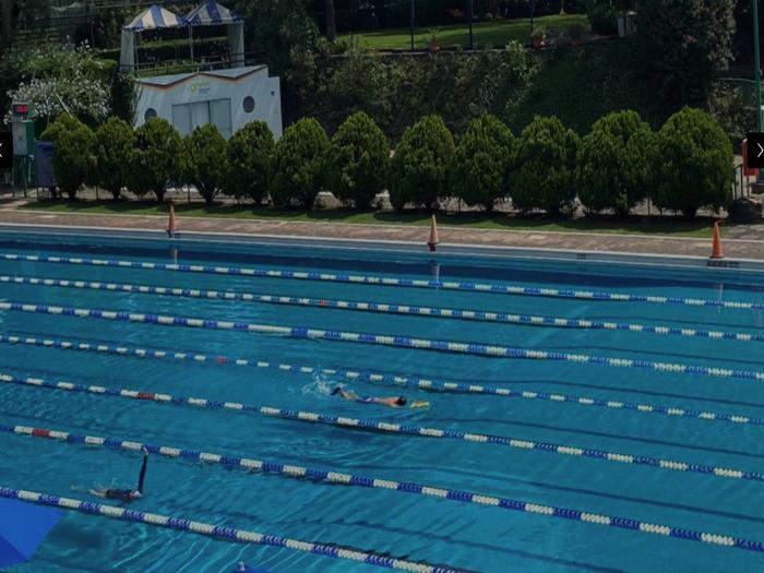 Alberca Profesional - Ideal para Competencias y Entrenamientos